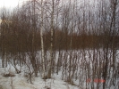 Продажа, Участок земли, Семчино по цене 1 500 000 руб - фото 1 - фото 2 - фото 3 - фото 4