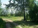 Продажа, Участок земли, Захарово (г.п. Клин) по цене 950 000 руб - фото 1 - фото 2 - фото 3 - фото 4 - фото 5 - фото 6 - фото 7 - фото 8 - фото 9 - фото 10 - фото 12 - фото 13
