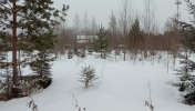 Продажа, Участок земли, Давыдково, д.395 по цене 1 200 000 руб - фото 1 - фото 2 - фото 3