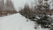 Продажа, Участок земли, Давыдково, д.395 по цене 1 200 000 руб - фото 1 - фото 2 - фото 3 - фото 4 - фото 5 - фото 6 - фото 7 - фото 8 - фото 9