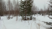 Продажа, Участок земли, Давыдково, д.395 по цене 1 200 000 руб - фото 1 - фото 2 - фото 3 - фото 4 - фото 5 - фото 6 - фото 7 - фото 8