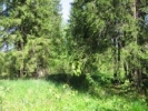 Продажа, Дом, Соколово по цене 1 500 000 руб - фото 1 - фото 2