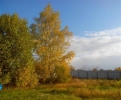 Продажа, Участок земли, Васильково по цене 1 250 000 руб - фото 1