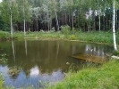 Продажа, Участок земли, Солнечногорск, ул.СНТ Скородумки по цене 800 000 руб - фото 1 - фото 2