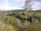 Продажа, Участок земли, Копылово, д.122 по цене 1 300 000 руб - фото 1 - фото 2 - фото 2 - фото 4 - фото 5 - фото 6 - фото 7