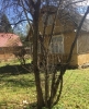 Продажа, Дача, Покровка, ул.СНТ Дружба, 2-я улица по цене 1 200 000 руб - фото 1 - фото 2 - фото 3 - фото 4 - фото 5