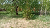 Продажа, Участок земли, Нагорное (г.п. Клин), ул.СНТ Нагорное, д.участок 42 по цене 350 000 руб - фото 1 - фото 2 - фото 3