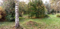 Продажа, Дача, Заболотье, ул.СНТ Березовка, д.37 по цене 1 500 000 руб - фото 1 - фото 2 - фото 5 - фото 7 - фото 8