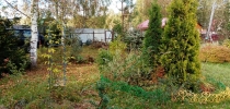 Продажа, Дача, Заболотье, ул.СНТ Березовка, д.37 по цене 1 500 000 руб - фото 1 - фото 2 - фото 5