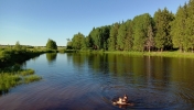 Продажа, Дом, Головково, ул.СНТ Лесное озеро по цене 1 800 000 руб - фото 1 - фото 2 - фото 3 - фото 4 - фото 5 - фото 6 - фото 7 - фото 8 - фото 9 - фото 10