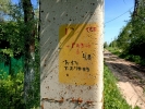 Продажа, Участок земли, Струбково, ул.Колхозная, д.24 по цене 1 500 000 руб - фото 1 - фото 2 - фото 3 - фото 4 - фото 5