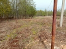 Продажа, Участок земли, Елгозино, ул.Владимировка-2-я, д.10 по цене 500 000 руб - фото 1 - фото 2 - фото 2 - фото 3 - фото 4 - фото 5 - фото 6 - фото 7 - фото 8