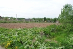 Продажа, Участок земли, Елгозино по цене 550 000 руб - фото 1 - фото 2 - фото 3