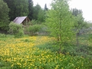 Продажа, Дача, Голенищево по цене 700 000 руб - фото 1 - фото 2 - фото 3 - фото 4