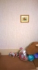 Продажа, Однокомнатная квартира, Дмитров, ул.Комсомольская, д.27, м.Сходненская по цене 2 500 000 руб - фото 0 - фото 1 - фото 2 - фото 3 - фото 6 - фото 7