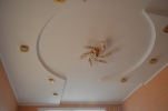 Продажа, Трехкомнатная квартира, Клин, ул.Центральная, д.71 по цене 5 100 000 руб - фото 1 - фото 2 - фото 3 - фото 4 - фото 5 - фото 6 - фото 8 - фото 9 - фото 10 - фото 11