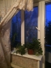 Продажа, Однокомнатная квартира, Клин, ул.Карла Маркса, д.43а по цене 1 850 000 руб - фото 1 - фото 3 - фото 4 - фото 5 - фото 6 - фото 7