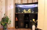 Продажа, Трехкомнатная квартира, Клин, ул.Первомайская, д.16 по цене 3 927 000 руб - фото 1