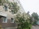 Продажа, Двухкомнатная квартира, Клин, ул.60 лет Комсомола, д.7/6 по цене 2 600 000 руб - фото 1