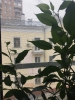Продажа, Однокомнатная квартира, Москва,  ЮВАО, ул.Упорный переулок, д.6, м.Площадь Ильича по цене 5 950 000 руб - фото 1 - фото 2 - фото 3 - фото 4