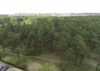 Продажа, Двухкомнатная квартира, Дмитров, ул.Махалина, д.40 по цене 4 499 000 руб - фото 1 - фото 2 - фото 3 - фото 4 - фото 5 - фото 6 - фото 7 - фото 8 - фото 9