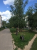 Продажа, Однокомнатная квартира, Захарово (г.п. Клин), д.14 по цене 990 000 руб - фото 1 - фото 2 - фото 2 - фото 3 - фото 4 - фото 5 - фото 6