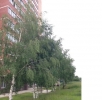 Продажа, Однокомнатная квартира, Сергиев Посад, ул.чайковского, д.20, м.Тушинская по цене 2 600 000 руб - фото 1 - фото 2 - фото 3 - фото 4 - фото 5 - фото 6 - фото 7 - фото 8 - фото 9 - фото 10