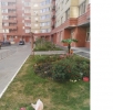Продажа, Однокомнатная квартира, Сергиев Посад, ул.проспект Красной Армии, д.240, м.Речной вокзал по цене 3 926 000 руб - фото 1 - фото 2 - фото 2 - фото 2 - фото 2 - фото 15