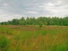 Продажа, Участок земли, Щекино, ул.Дачная, д.22 по цене 650 000 руб - фото 1