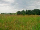 Продажа, Участок земли, Щекино, ул.Дачная, д.22 по цене 650 000 руб - фото 1 - фото 2 - фото 3