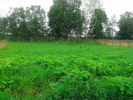 Продажа, Участок земли, Борисово по цене 350 000 руб - фото 1 - фото 2