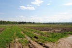 Продажа, Участок земли, Щекино, ул.Лесная, д.11 по цене 600 000 руб - фото 1 - фото 2