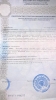 Продажа, Участок земли, Праслово по цене 1 050 000 руб - фото 1 - фото 2 - фото 3 - фото 4 - фото 5 - фото 6 - фото 7