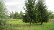 Продажа, Участок земли, Орлово, д.42 по цене 650 000 руб - фото 1 - фото 2