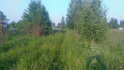 Продажа, Участок земли, Лаврово по цене 850 000 руб - фото 1 - фото 2