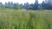 Продажа, Участок земли, Лаврово по цене 850 000 руб - фото 1 - фото 2 - фото 3 - фото 4