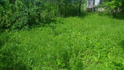 Продажа, Участок земли, Клин по цене 350 000 руб - фото 1