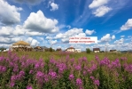 Продажа, Участок земли, Муханки (г.п. Дмитров) по цене 2 000 000 руб - фото 1 - фото 2 - фото 3