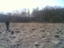 Продажа, Участок земли, Жилино (с.п. Лунёвское) по цене 156 000 руб - фото 1 - фото 1 - фото 2 - фото 2