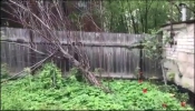 Продажа, Участок земли, Дмитров, ул.Подъячева по цене 3 300 000 руб - фото 1 - фото 2 - фото 3 - фото 4 - фото 5 - фото 6