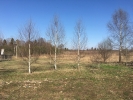 Продажа, Участок земли, Степаново по цене 5 900 000 руб - фото 1 - фото 2 - фото 3 - фото 4 - фото 5 - фото 6 - фото 7