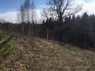Продажа, Участок земли, Степаново по цене 5 900 000 руб - фото 1 - фото 2 - фото 3