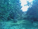 Продажа, Дом, Берёзки по цене 105 000 руб - фото 1 - фото 2