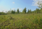 Продажа, Участок земли, Новинки по цене 760 000 руб - фото 1 - фото 2