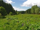 Продажа, Участок земли, Шелепаново, ул.СНТ Родник по цене 1 400 000 руб - фото 1 - фото 2 - фото 3