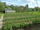 Продажа, Дача, Клин, ул.Напруговская дорога, д.64 по цене 1 649 000 руб - фото 1 - фото 2 - фото 2