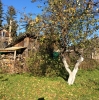 Продажа, Дача, Иевлево, ул.Фроловское. СНТ Дальний, д.7 по цене 900 000 руб - фото 1 - фото 2 - фото 3 - фото 4 - фото 5 - фото 6