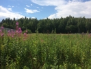 Продажа, Участок земли, Брёхово, ул.Кранкино по цене 1 000 000 руб - фото 1