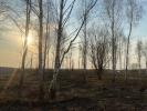 Продажа, Участок земли, Клин, ул.Пречистая, д.35 по цене 2 500 000 руб - фото 1 - фото 2