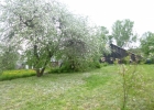 Продажа, Половина дома, Муханки (г.п. Яхрома) по цене 1 650 000 руб - фото 1 - фото 2